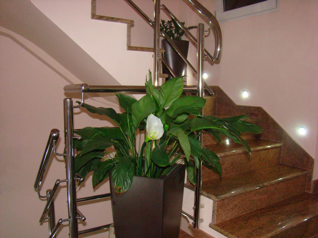 Apartments Ledic Krvavica Εξωτερικό φωτογραφία